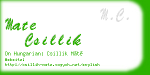 mate csillik business card