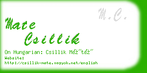 mate csillik business card